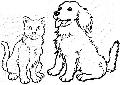 A Cat and Dog coloring page