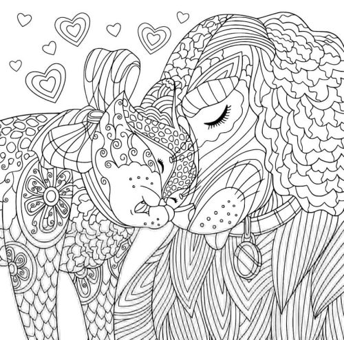 Cat and Dog For Adults coloring page