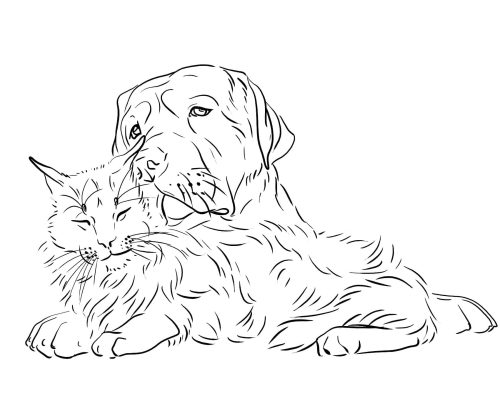 Drawing of Dog and Cat coloring page