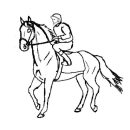 Hand Drawn Race Horse coloring page