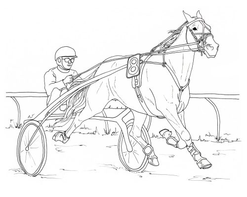 Harness Racing coloring page