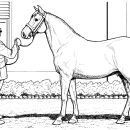 Man With Race Horse coloring page