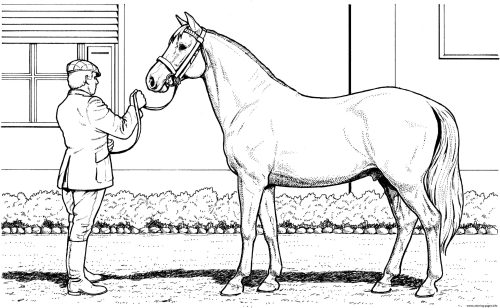 Man With Race Horse coloring page