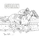 Nice Race Horse coloring page