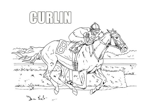 Nice Race Horse coloring page