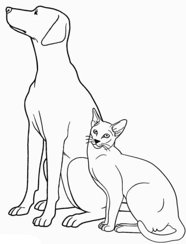 Normal Dog and Cat coloring page