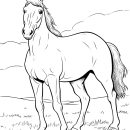 Perfect Race Horse coloring page