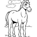 Pretty Race Horse coloring page