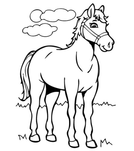 Pretty Race Horse coloring page