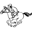 Race Horse Free Graphics coloring page