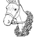 Race Horse Head coloring page