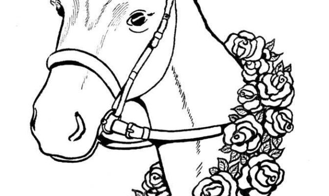 Race Horse Head coloring page