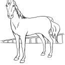 Race Horse Standing coloring page