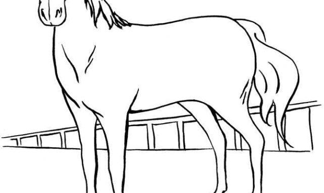 Race Horse Standing coloring page