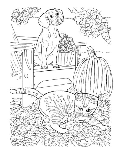 Realistic Dog and Cat coloring page